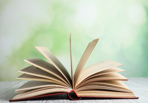 sectores img 031 (1)